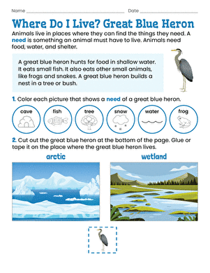 Where Do I Live? Great Blue Heron