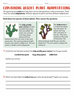 Explaining Desert Plant Adaptations