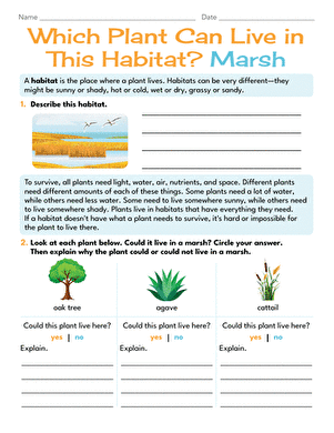 Which Plant Can Live in This Habitat? Marsh