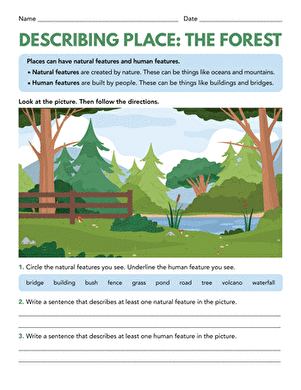 Describing Place: The Forest