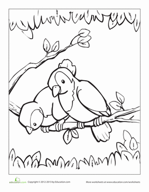 Bird Coloring Page