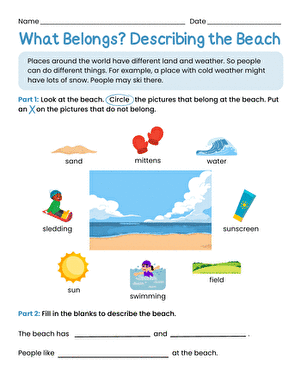 What Belongs? Describing the Beach