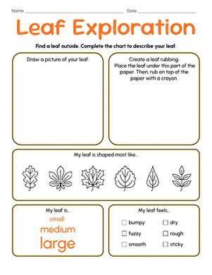 Leaf Exploration