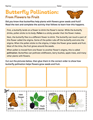 Butterfly Pollination: From Flowers to Fruit large image