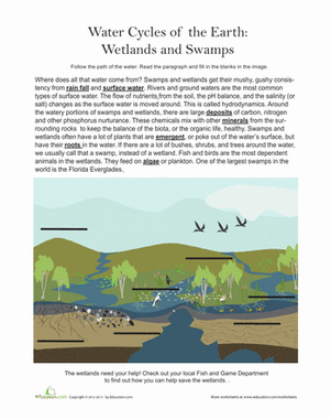 Wetlands and Swamps