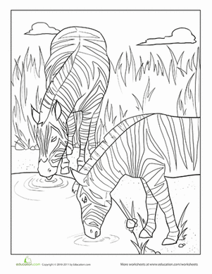 Zebra Coloring Page