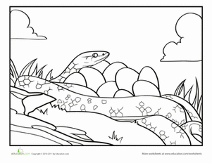 Snake Coloring Page