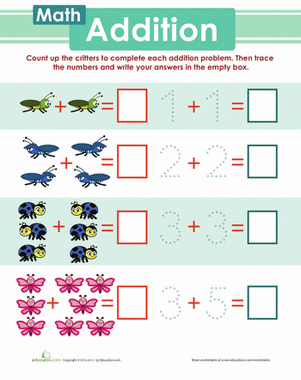 Insect Addition