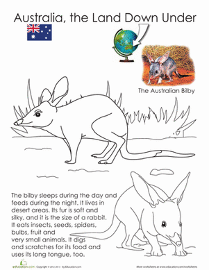 Bilby