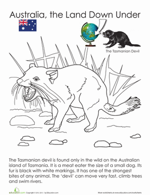 Tasmanian Devil