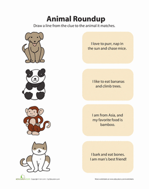Animal Matching 1