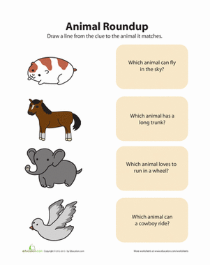 Animal Matching 2
