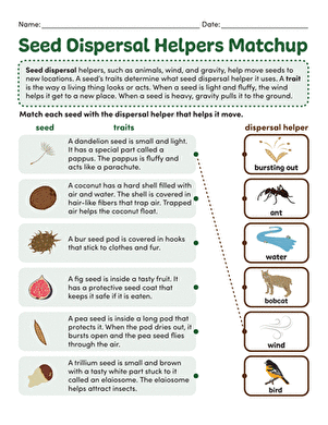 Seed Dispersal Helpers Matchup large image