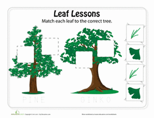 Leaf Puzzle