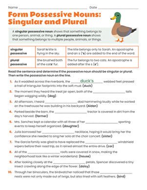 Form Possessive Nouns: Singular and Plural large image