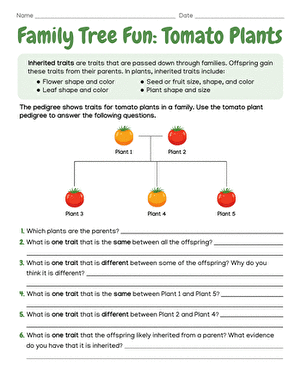 Family Tree Fun: Tomato Plants large image