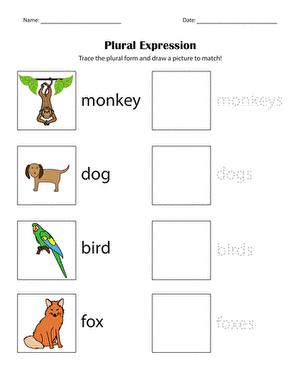 Plural Expression large image