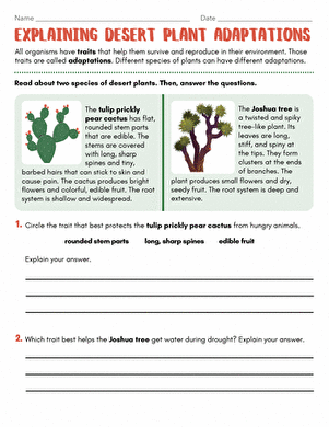 Explaining Desert Plant Adaptations large image