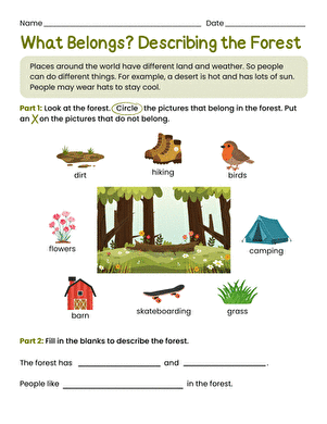 What Belongs? Describing the Forest large image
