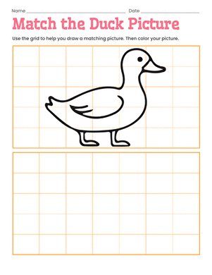 Match the Duck Picture large image