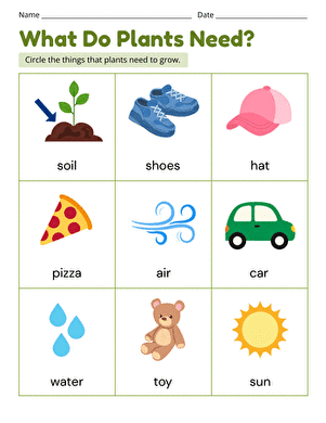 What Do Plants Need? large image
