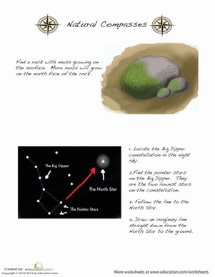 How to Find North