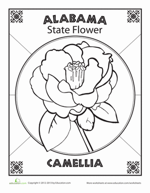 Alabama State Flower