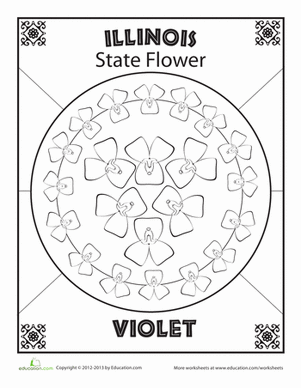 Illinois State Flower