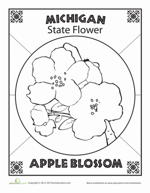 Michigan State Flower