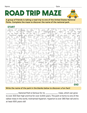 Road Trip Maze large image