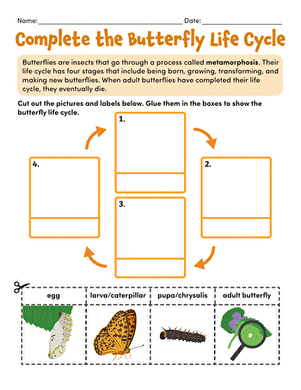 Complete the Butterfly Life Cycle large image