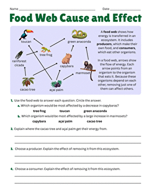Food Web Cause and Effect large image