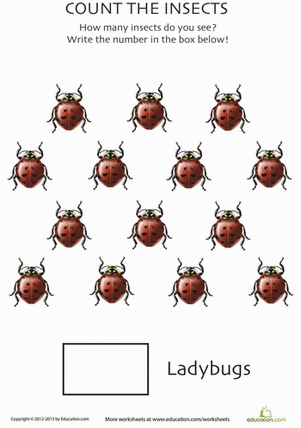 Counting Ladybugs