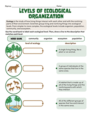 Levels of Ecological Organization large image