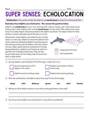 Super Senses: Echolocation large image