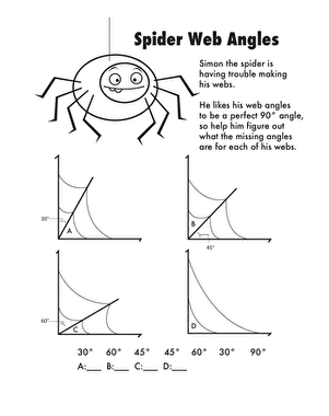 Spider Web Angles