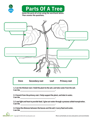 The Parts of a Tree large image