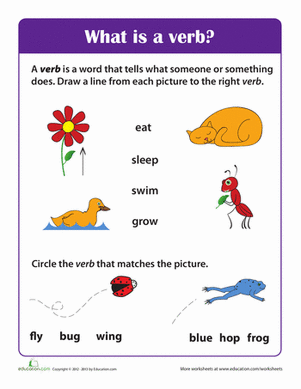 What is a Verb?