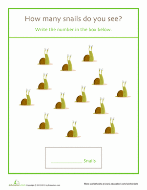 Counting Snails