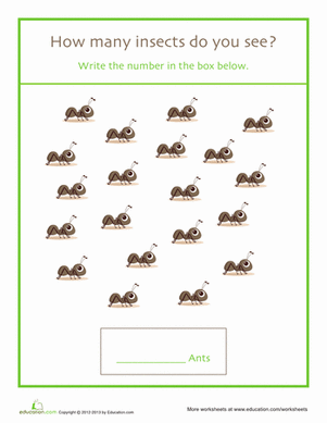 Counting Ants
