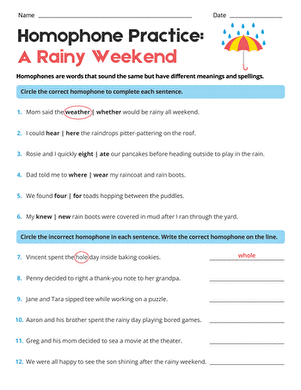 Homophone Practice: A Rainy Weekend large image