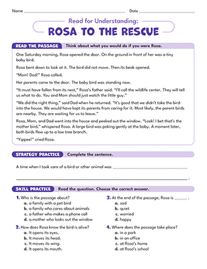 Read for Understanding: Rosa to the Rescue large image
