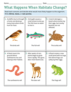 What Happens When Habitats Change? large image