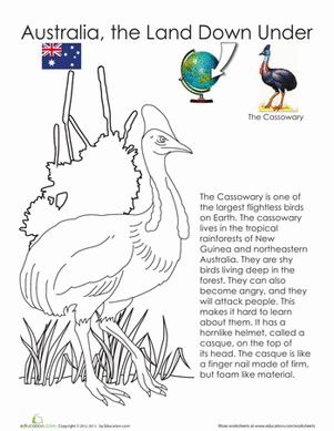 Cassowary