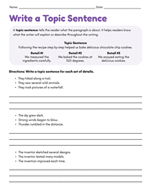 Write a Topic Sentence large image