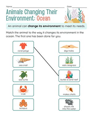 Animals Changing Their Environment: Ocean large image