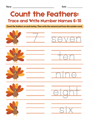 Count the Feathers: Trace and Write Number Names 6-10 large image