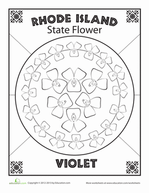 Rhode Island State Flower