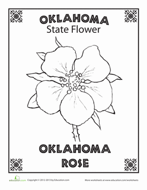 Oklahoma State Flower