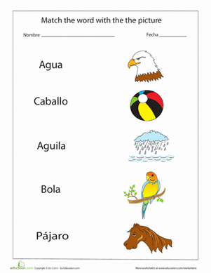 Spanish Vocabulary Grab Bag